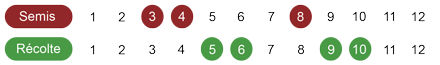 calendrier-camomille-romaine-bio.png
