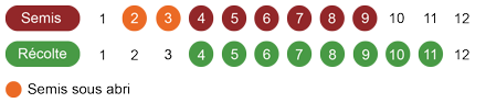 calendrier-graines-aneth-bio.png