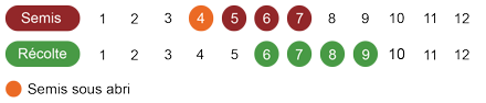 calendrier-camomille-romaine-bio.png