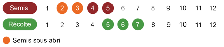 calendrier-camomille-romaine-bio.png