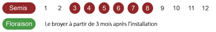 calendrier-camomille-romaine-bio.png