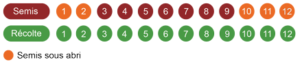 calendrier-mache-vit-bio