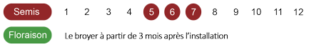 calendrier-camomille-romaine-bio.png