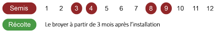 calendrier-moutarde-bio