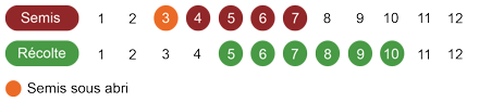 calendrier-sauge-bio