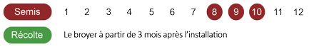 calendrier-seigle-bio
