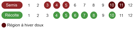 calendrier-graines-aneth-bio.png