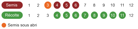 calendrier-thym-bio