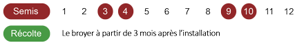 calendrier-trefle-bio.png