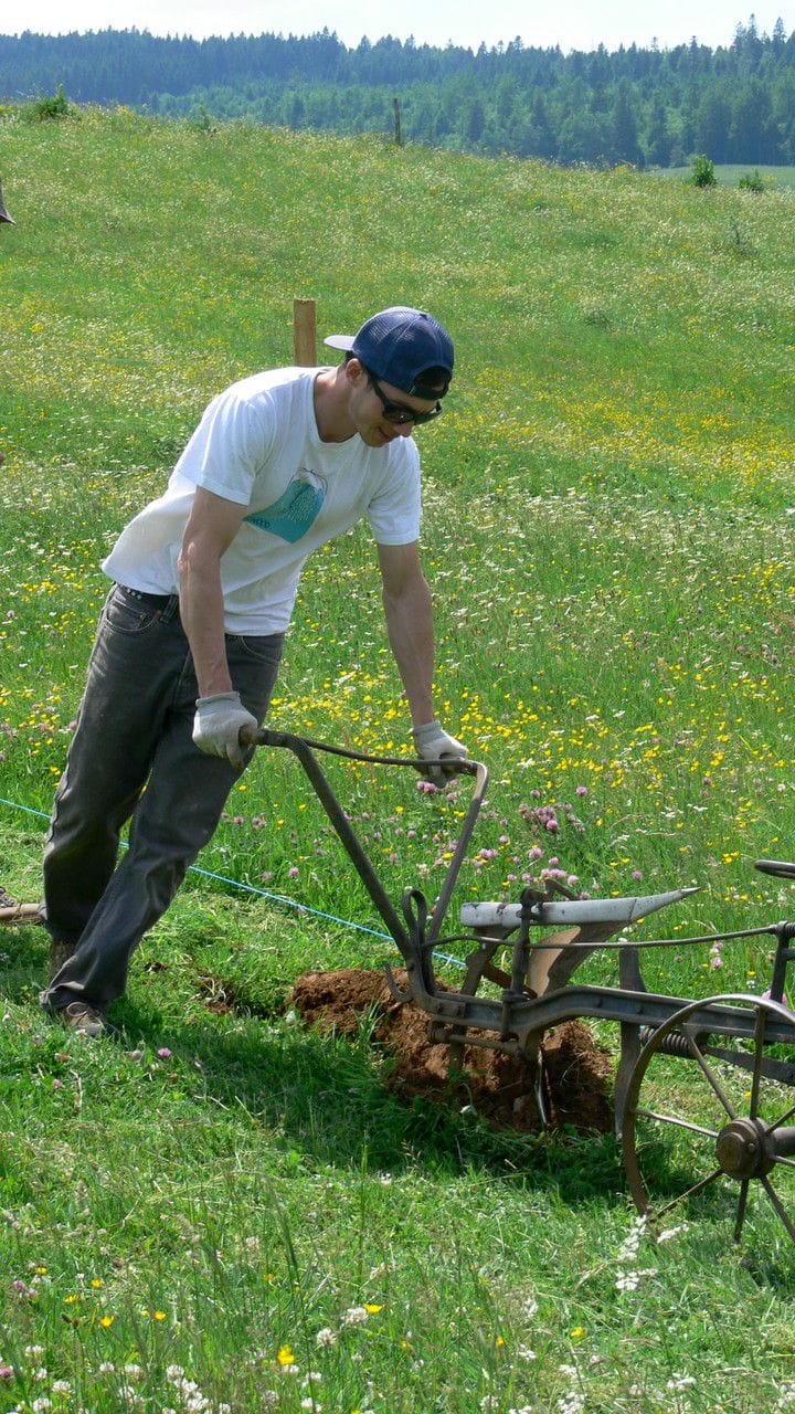 Préparation manuelle du terrain bio Menthe et Mélisse