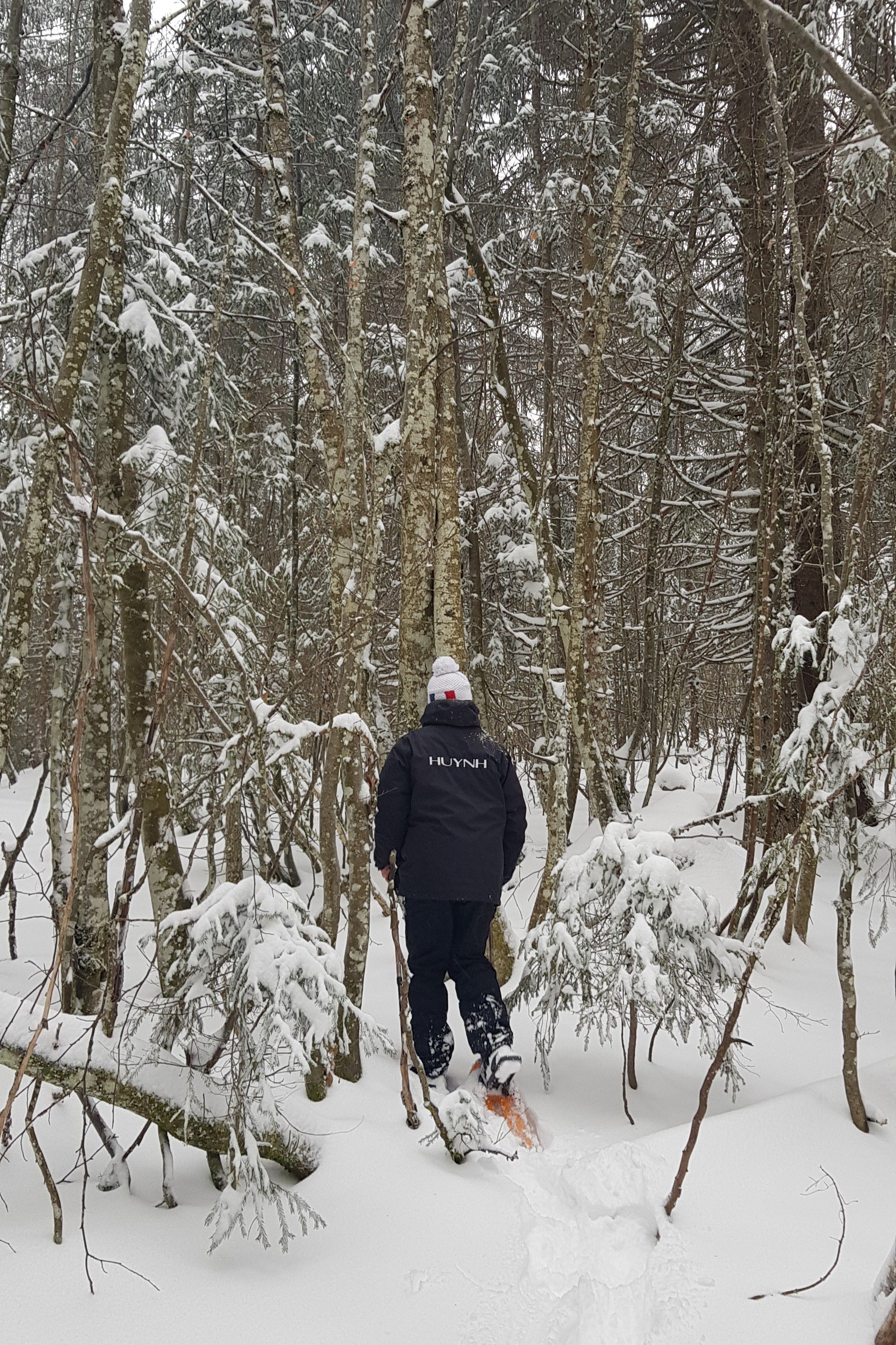 Raquettes de neige dans le Jura