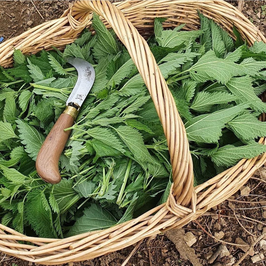 L'Atelier des Prés