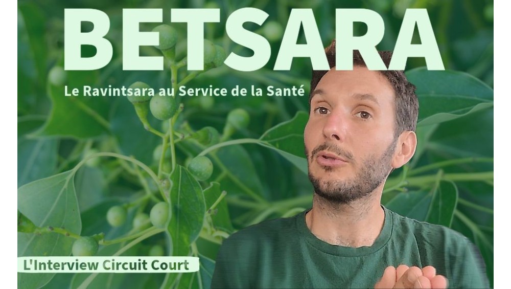 Betsara : Le Ravintsara au Service de la Santé