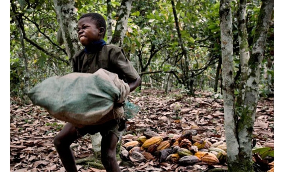 Enfants mis au travail forcé pour votre chocolat