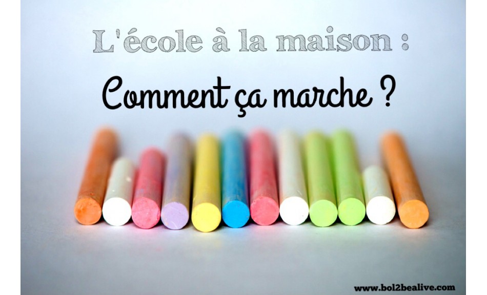 Ecole à la maison : ces profs et parents qui ont choisi de déscolariser leurs enfants